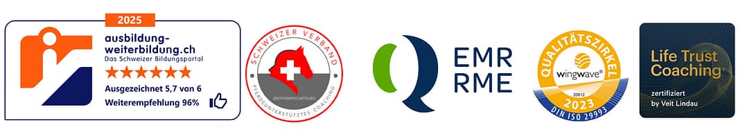 banner Kopie